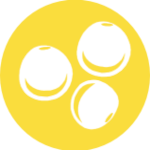 Altramuces