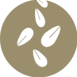 Granos de sésamo